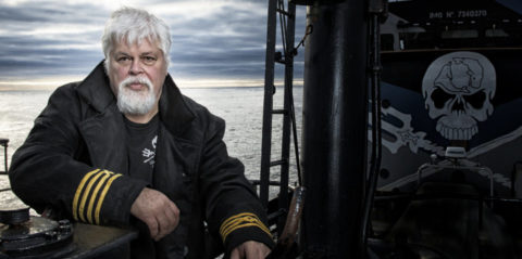 Projection du film ” L’œil du cachalot, Paul Watson” en présence du réalisateur Bruno Vienne